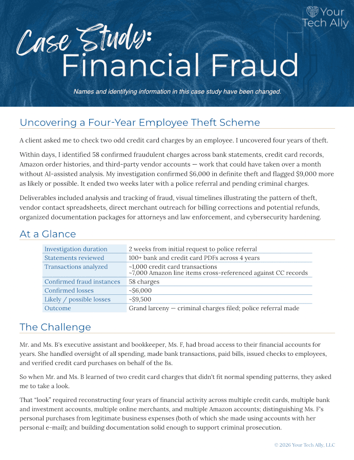 Financial Fraud Investigation case study — first page preview